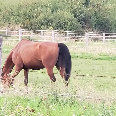 Apartament Au Gre Du Tulipier - 2 Pieces