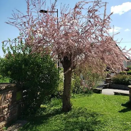 Au Gre Du Tulipier - 2 Pieces