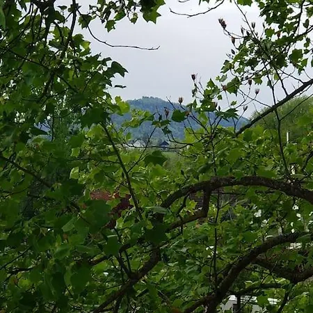 Au Gre Du Tulipier - 2 Pieces Monswiller